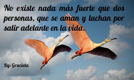 Pensamiento del día